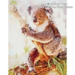 (image for) Koala